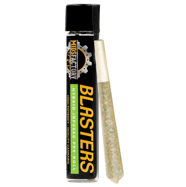 Blue Bacio x Cookie Milk (H) Infused Preroll - 1.5g *B2G1 EVERYDAY* - Blue Bacio x Cookie Milk (H)