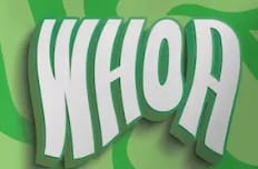 Blueberry Pear | 1:1 CBN:THC | 100mg Gummy