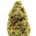Limon Gordo, SG (1/2oz.) - Half