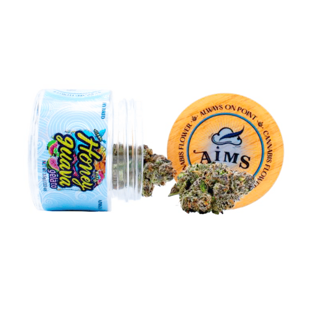 Honey Guava Gelato - 3.5