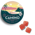 Watermelon Lemonade (H) Gummies - Watermelon Lemonade (H)
