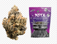 XOTX Bubble Gum Runtz 14G