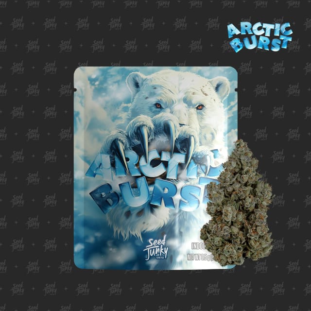 ARCTIC BURST - 3.5G