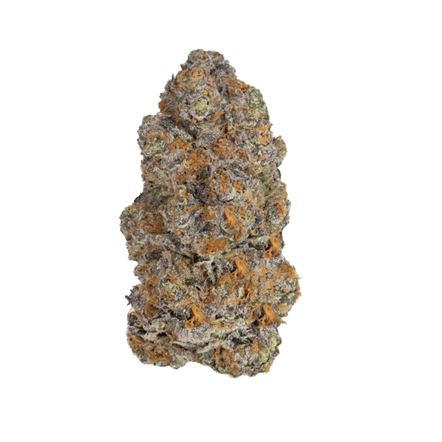 Biscotti - 40's Infused Flower