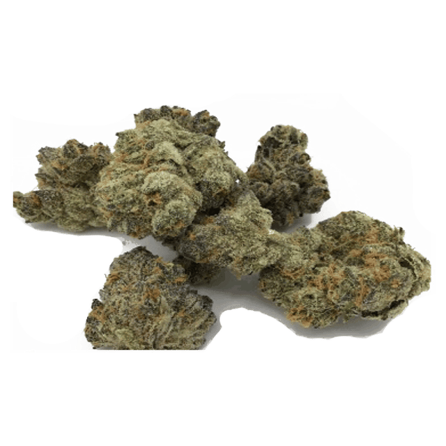 Watermelon Z - Jar - Indoor Flower