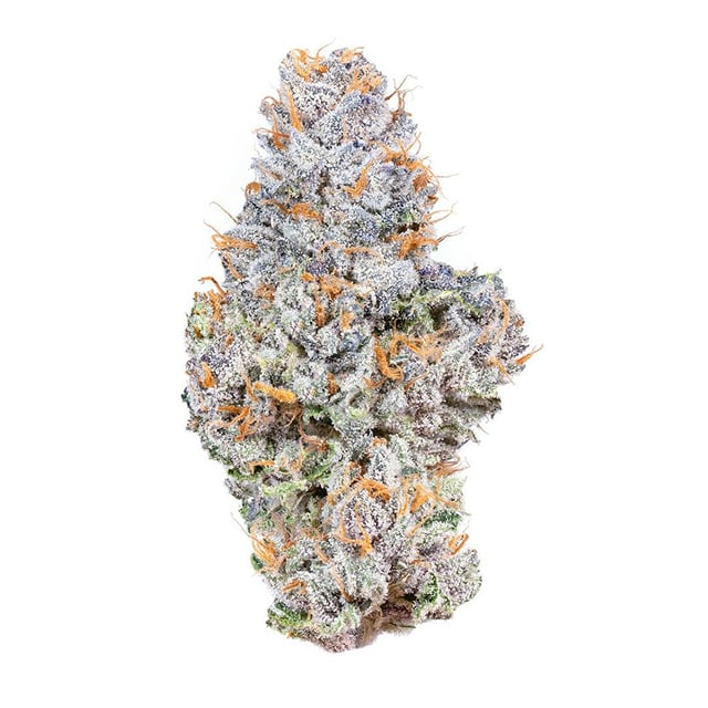 Gelato 41 3.5g