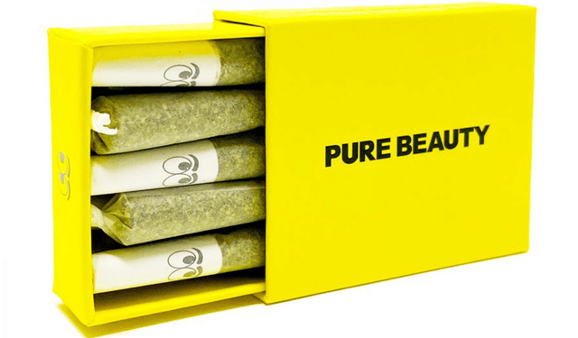Pure Beauty Indoor Non-Infused 10pk PreRolls - Indica Babies