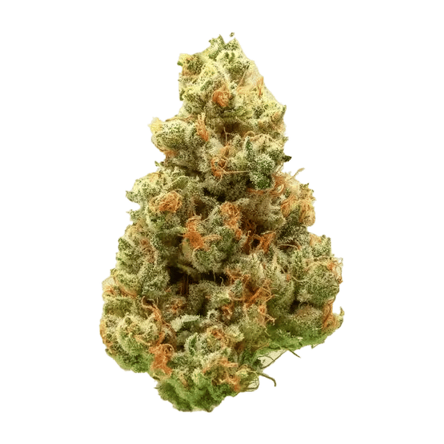 Super Mango Haze - Premium Flower