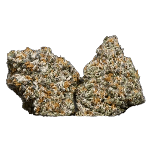 BLUE BURST 40's INFUSED MYLARS 7G