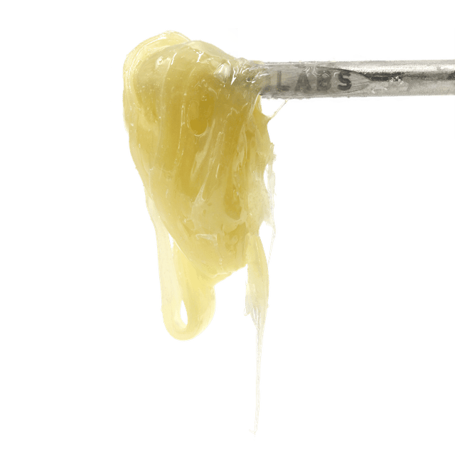 Madison Zquared Garden #2 - Live Rosin - Madison Zquared Garden #2 Live Rosin Live Rosin