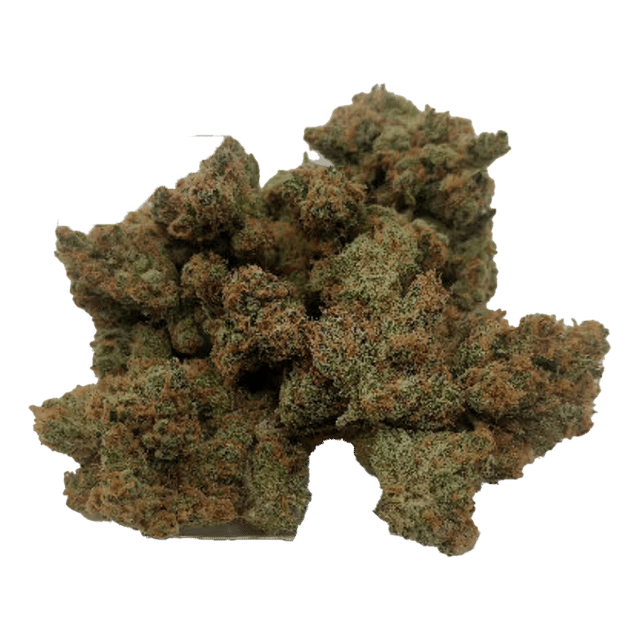 Orange Crush - Flower