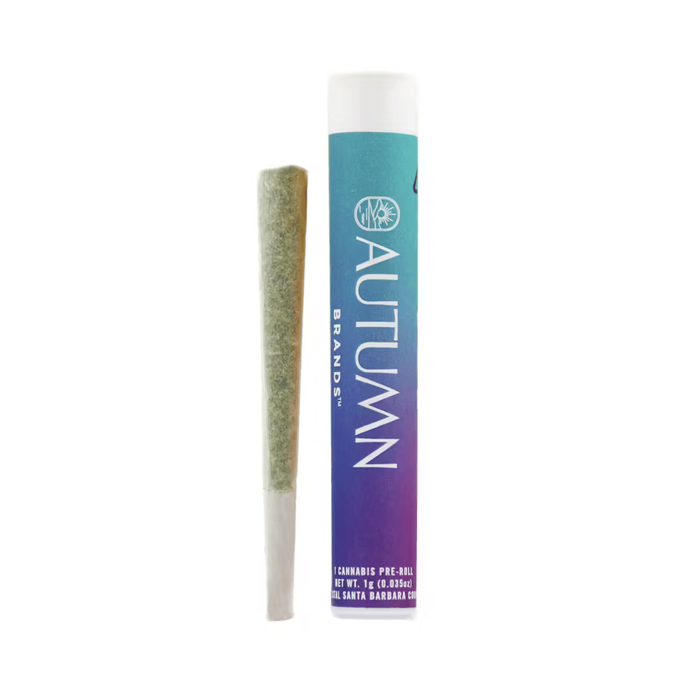 Autumn Brands — Purple Carbonite