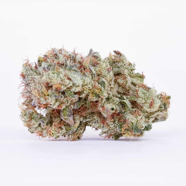 Mango Mintality | 3.5g