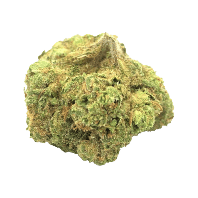 Lemon Cherry Gelato - Flower