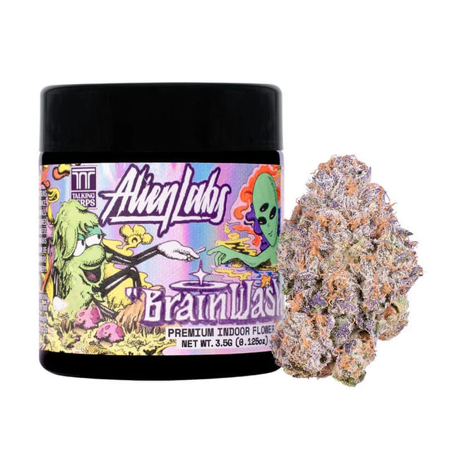 Brain Wash 30.1% - 3.5G *SPECIAL PRICING* - Brain Wash (H)