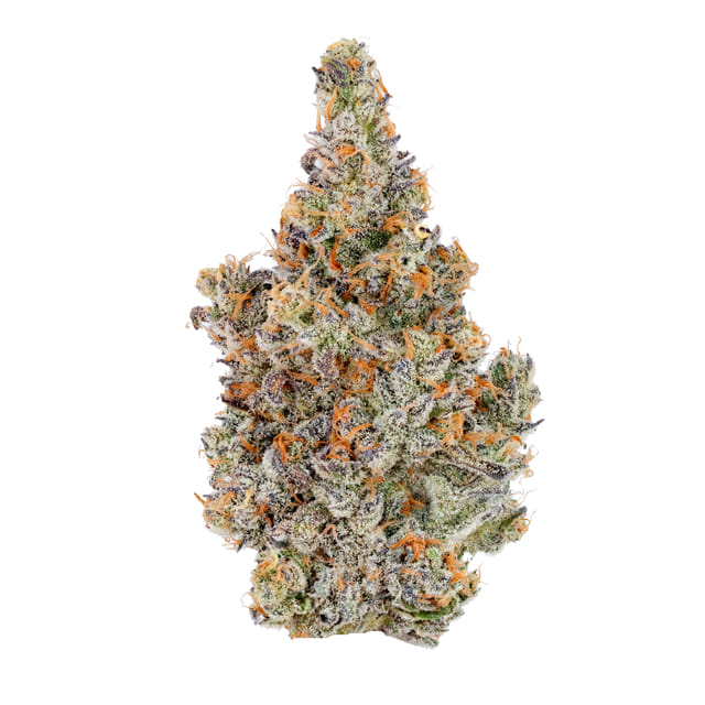LUCID BLUE 3.5G