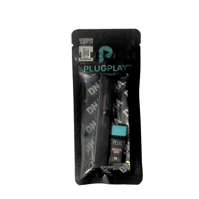 PlugPlay — Northern Lights
