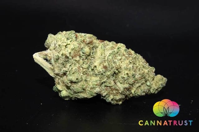 Ice Cream Cake 14Grams - 1/2 Ounce