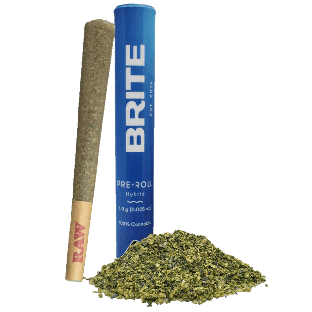 Glitter Bomb - Pre-Roll