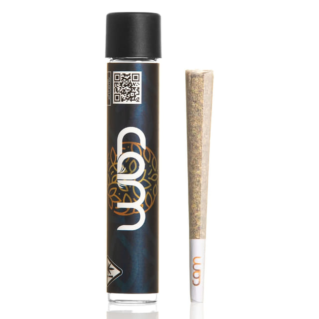 CAM Pop (H) Preroll - 1g - CAM Pop (H)