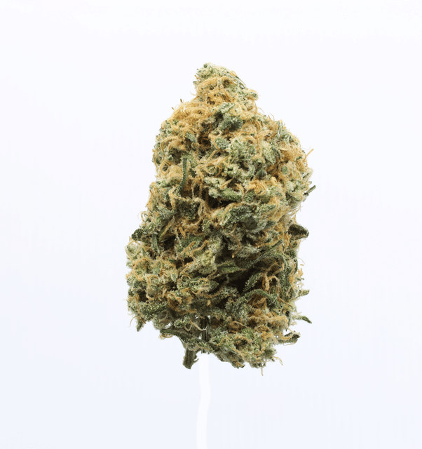 Red Congolese - 3.5g