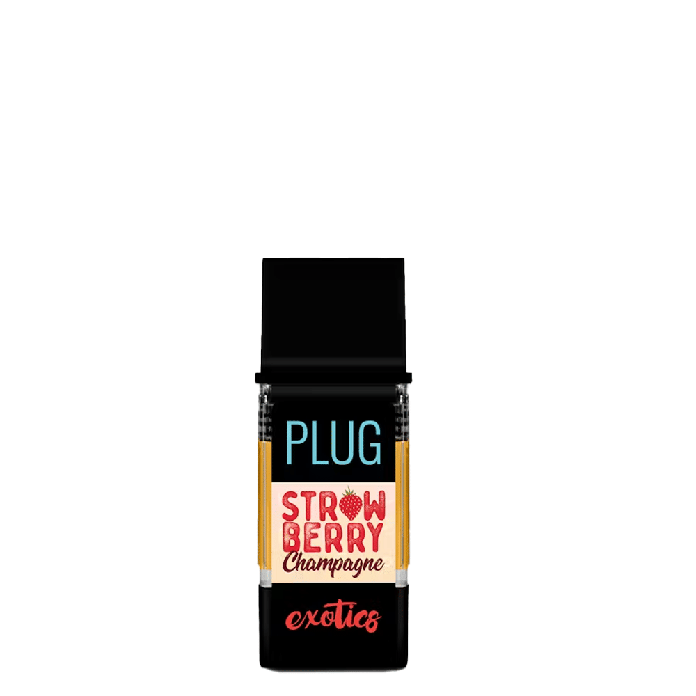PlugPlay — Strawberry Champagne
