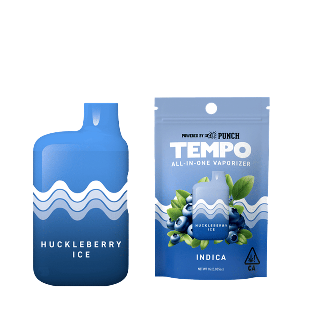 TEMPO — Huckleberry
