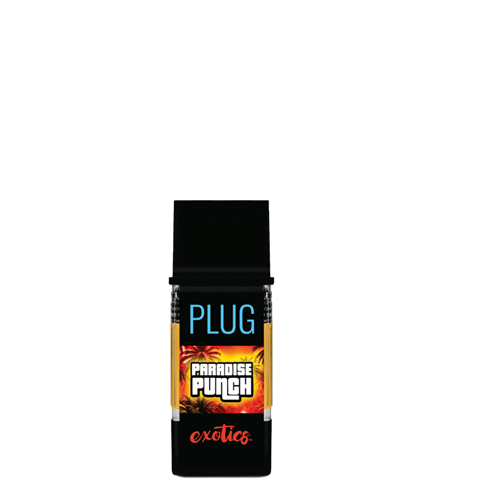 PlugPlay — Paradise Punch