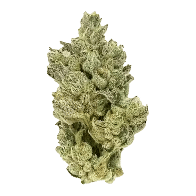 Gluetopia - Premium Flower