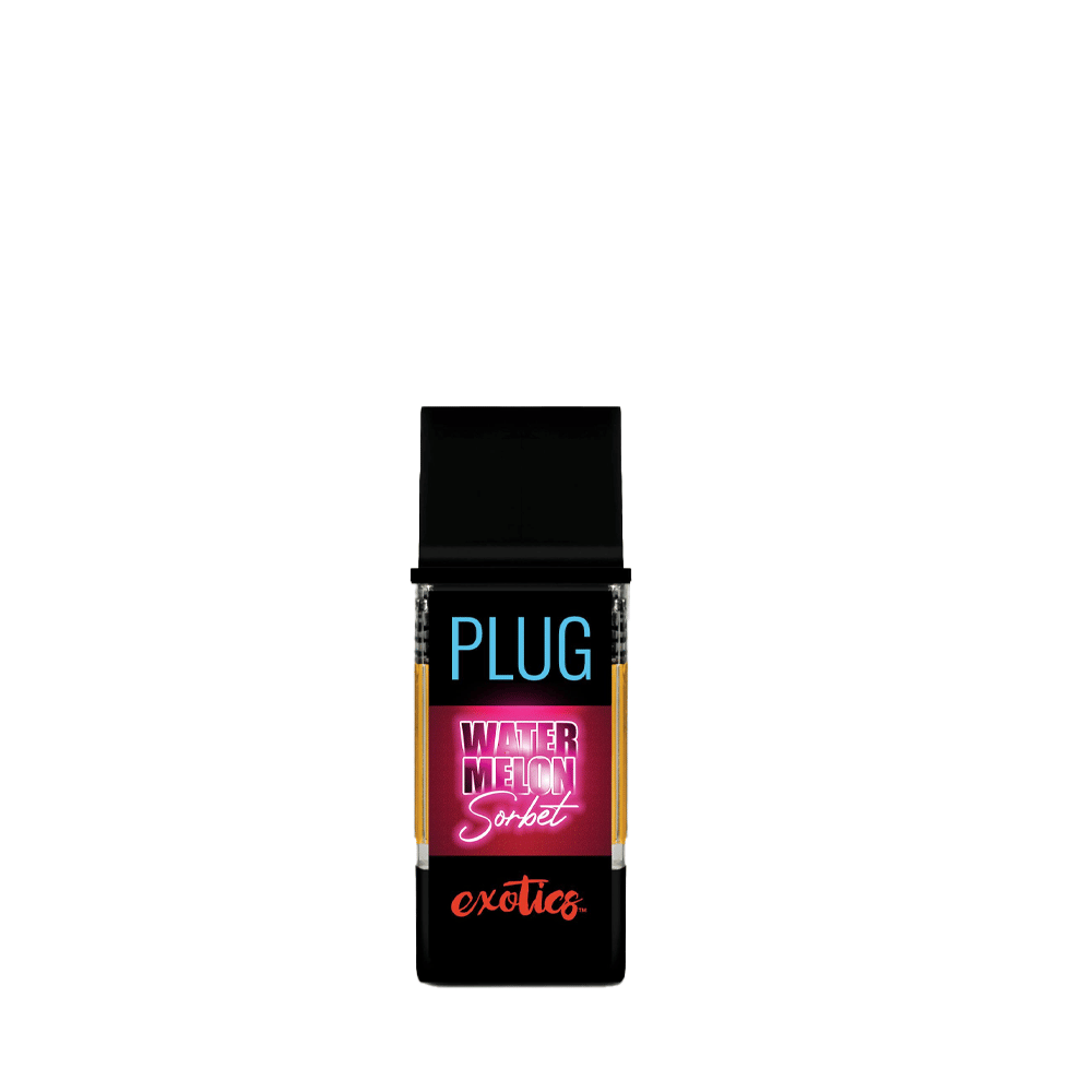 PlugPlay — Watermelon Sorbet