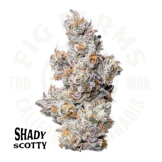 Shady Scotty 3.5G