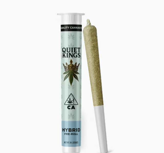 Quiet Kings: Sherbacio (H) Pre-Roll - 1g
