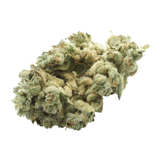 Jet Lag OG - Premium Flower