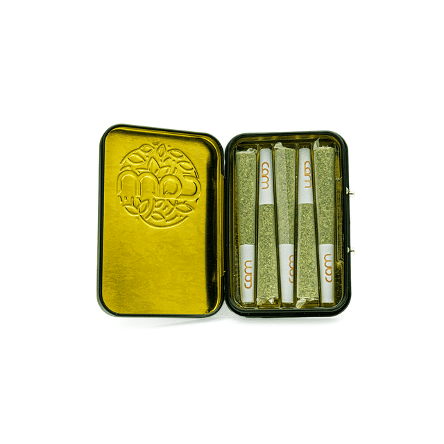 Brain Dead (I/H) 5pk Prerolls - Brain Dead 5pk