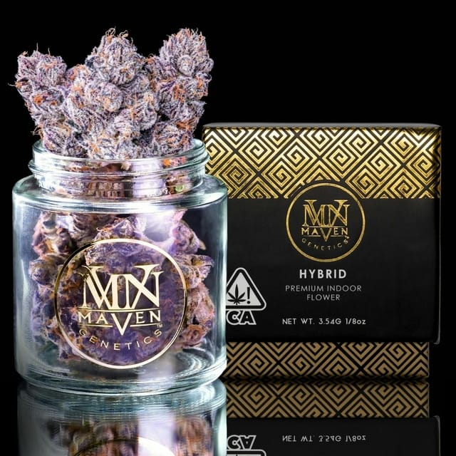 New Money | 3.5g Flower