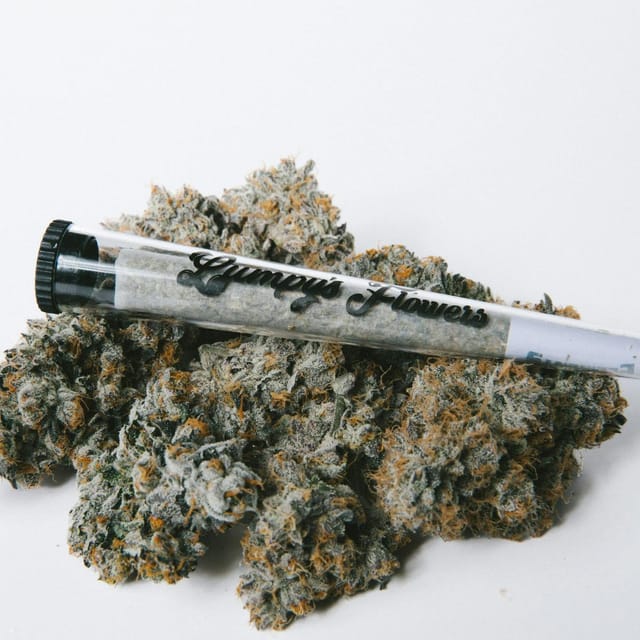 PB & Jane 1G Pre-Roll