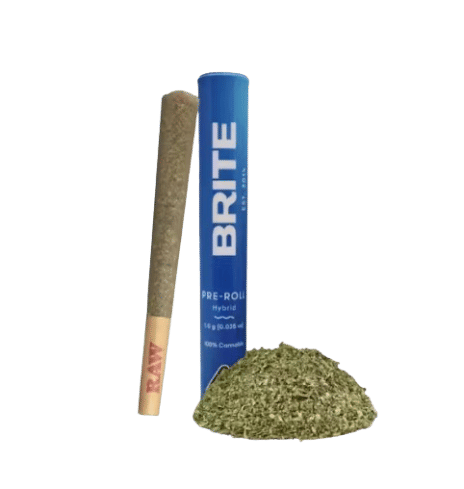 Mimosa - Pre-roll - Single