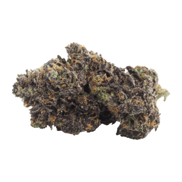 Zteroids - Jar - Indoor Flower