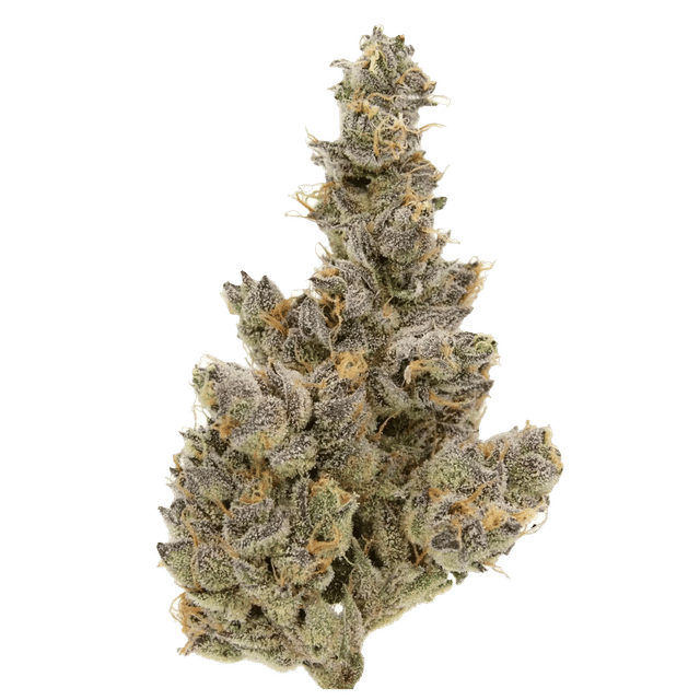 Sour Diesel - Jar - Indoor Flower