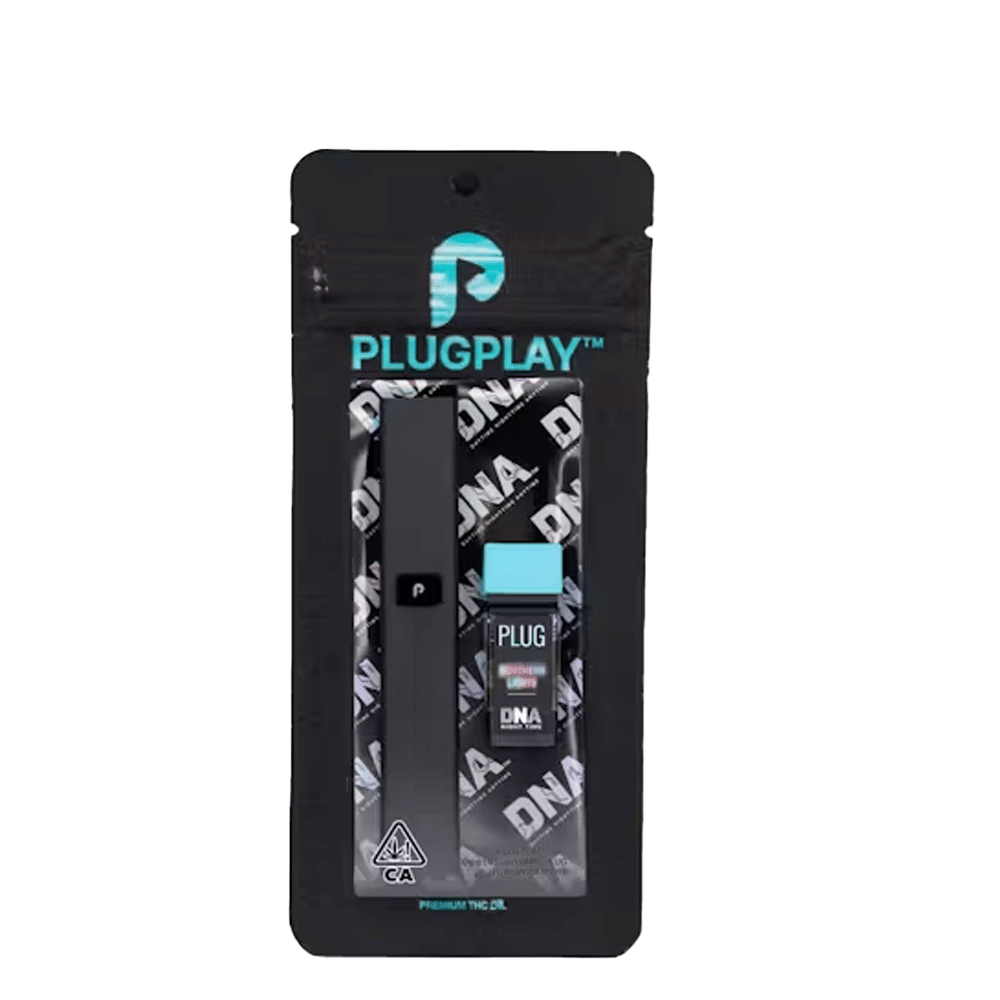 PlugPlay — Northern Lights