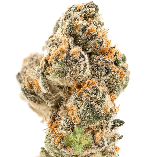 Moonwalkers (Micro Batch)