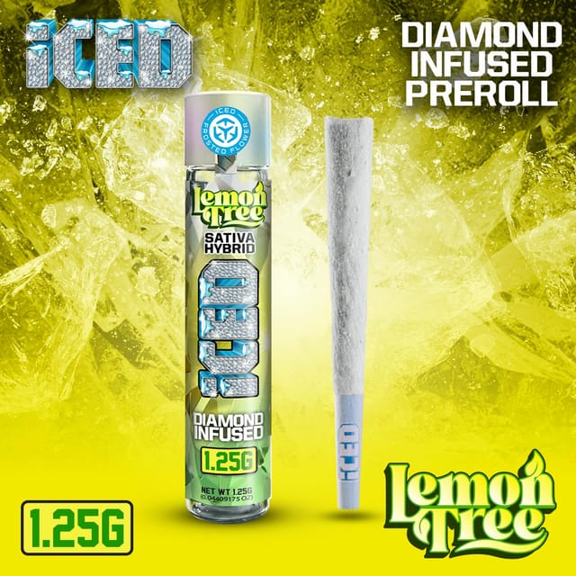 Lemon Tree - 1.25g -PREROLL