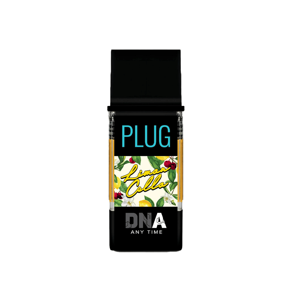 PlugPlay — Limoncello