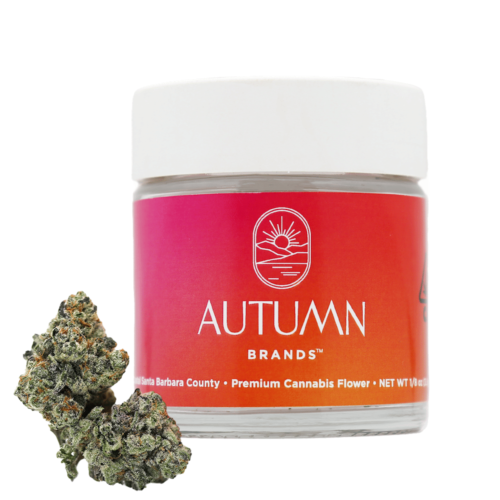 Autumn Brands — Purple Carbonite