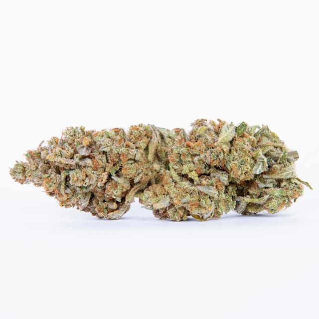 Lemon Head - Indoor Flower