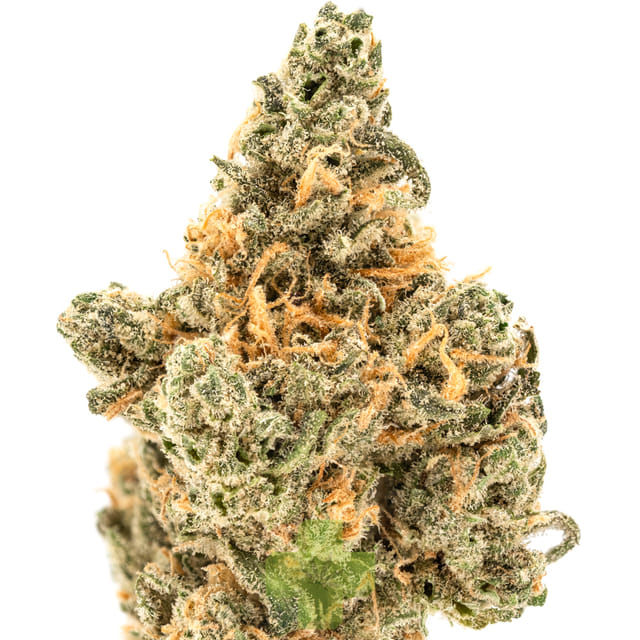 Blue Dream