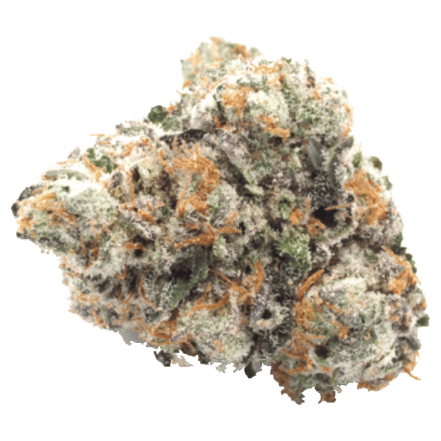 Baklava - Jar - Indoor Flower