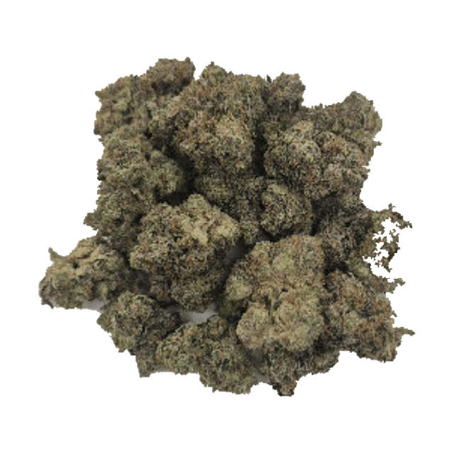 Brain Wash - Jar - Indoor Flower