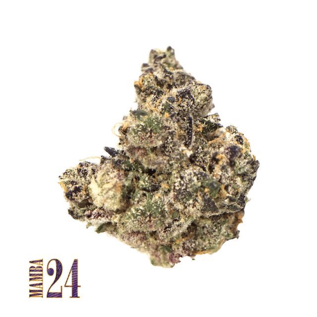 Mamba 24 | 15g Minis