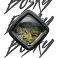 KOOKIELAND 3.5G JAR